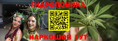 крисы Ярославль