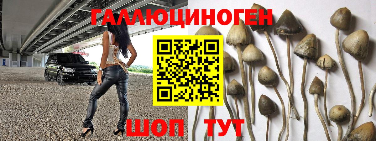 Галлюциногенные грибы Magic Shrooms  Вход с VPN  Сыктывкар  Псилоцибиновые грибы ЛСД 